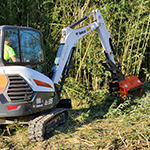 Heavy machinery removing brush