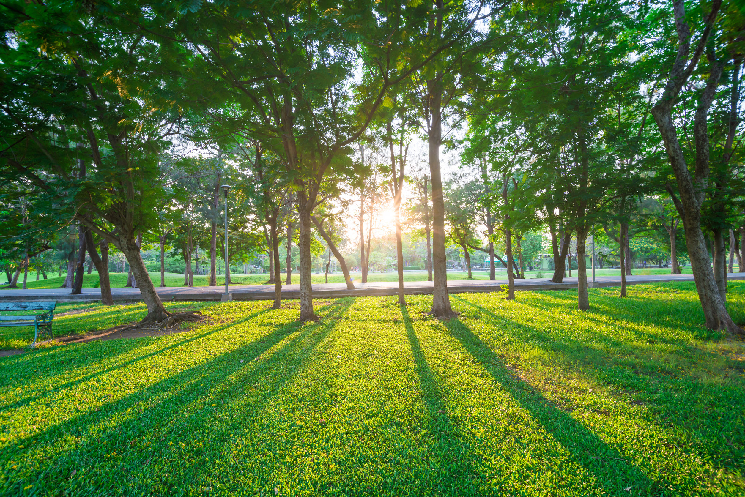 Park and recreation area in the city