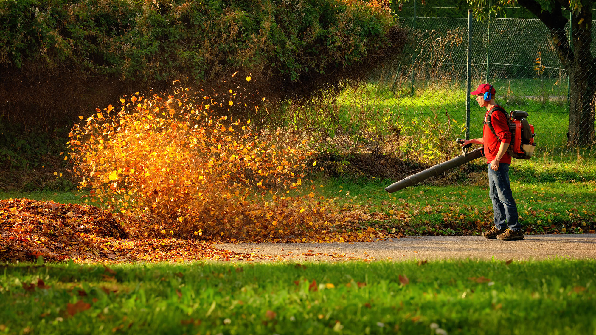 leaf-blower-fall-flipped