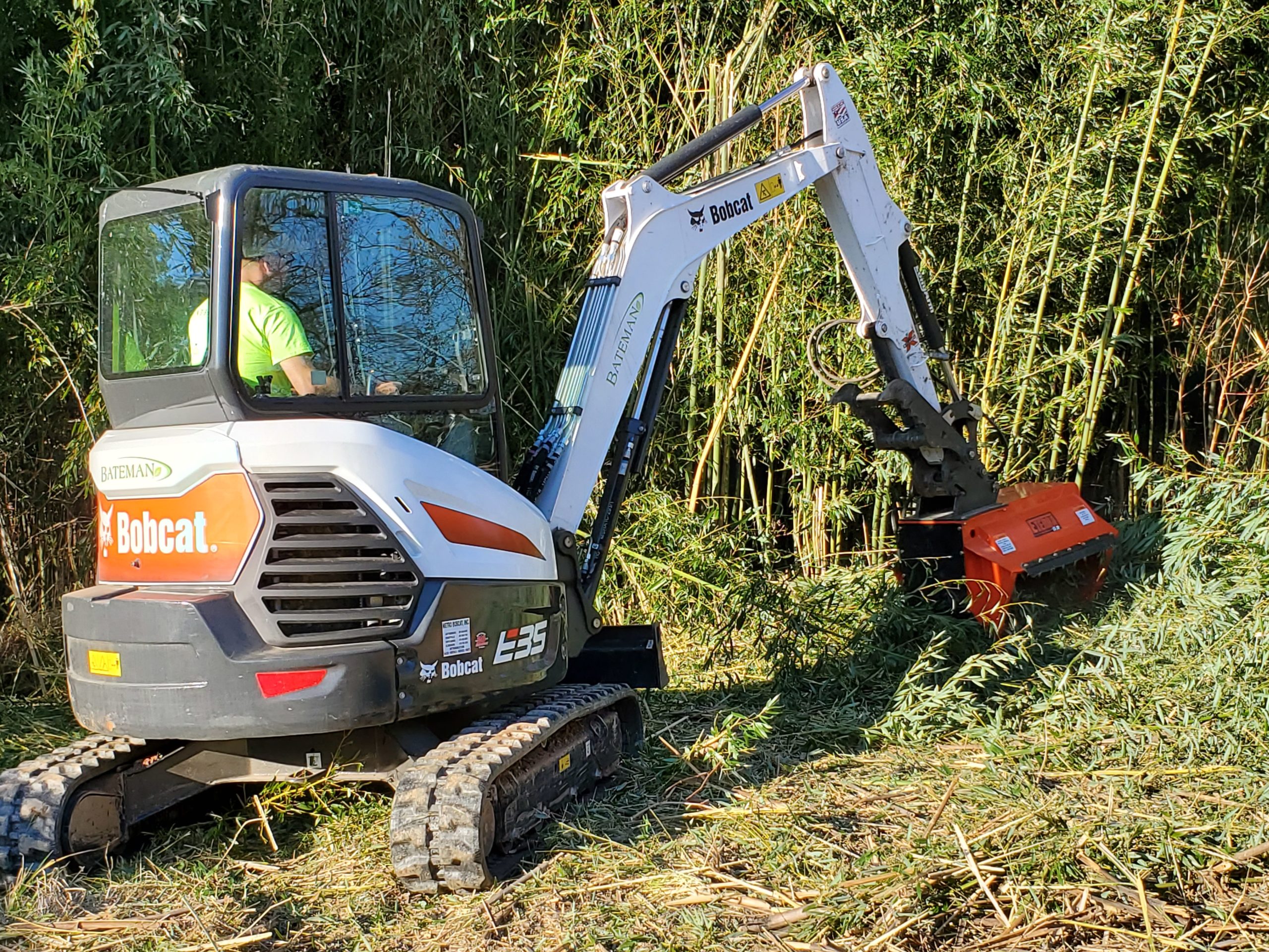 Clearing and Brush Removal circle